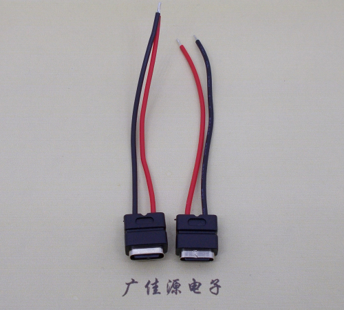 吉安type c2p防水母座焊线式带线注塑成型带接线端子/不带接线端子充电连接器